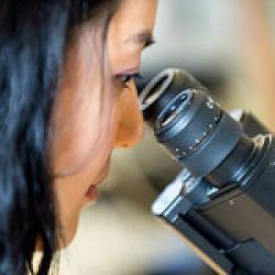 диагностика рака за границей