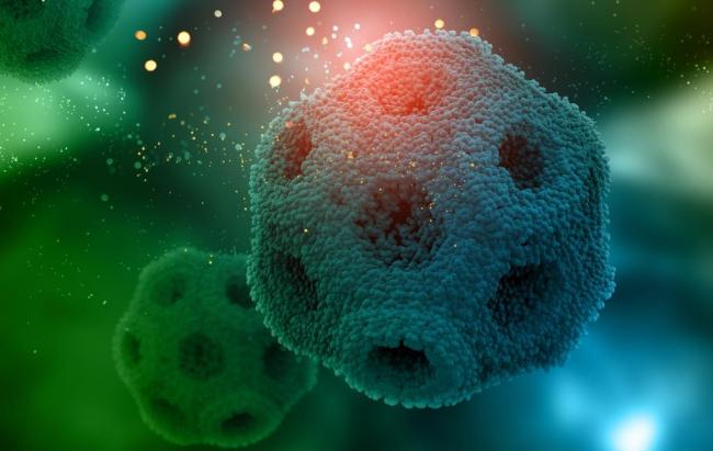 опухоли яичников