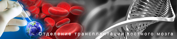 трансплантация костного мозга при лимфоме