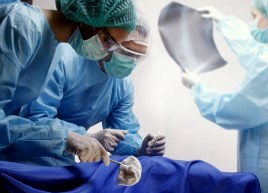 пересадка костного мозга